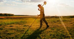 Best Metal Detector for the Money